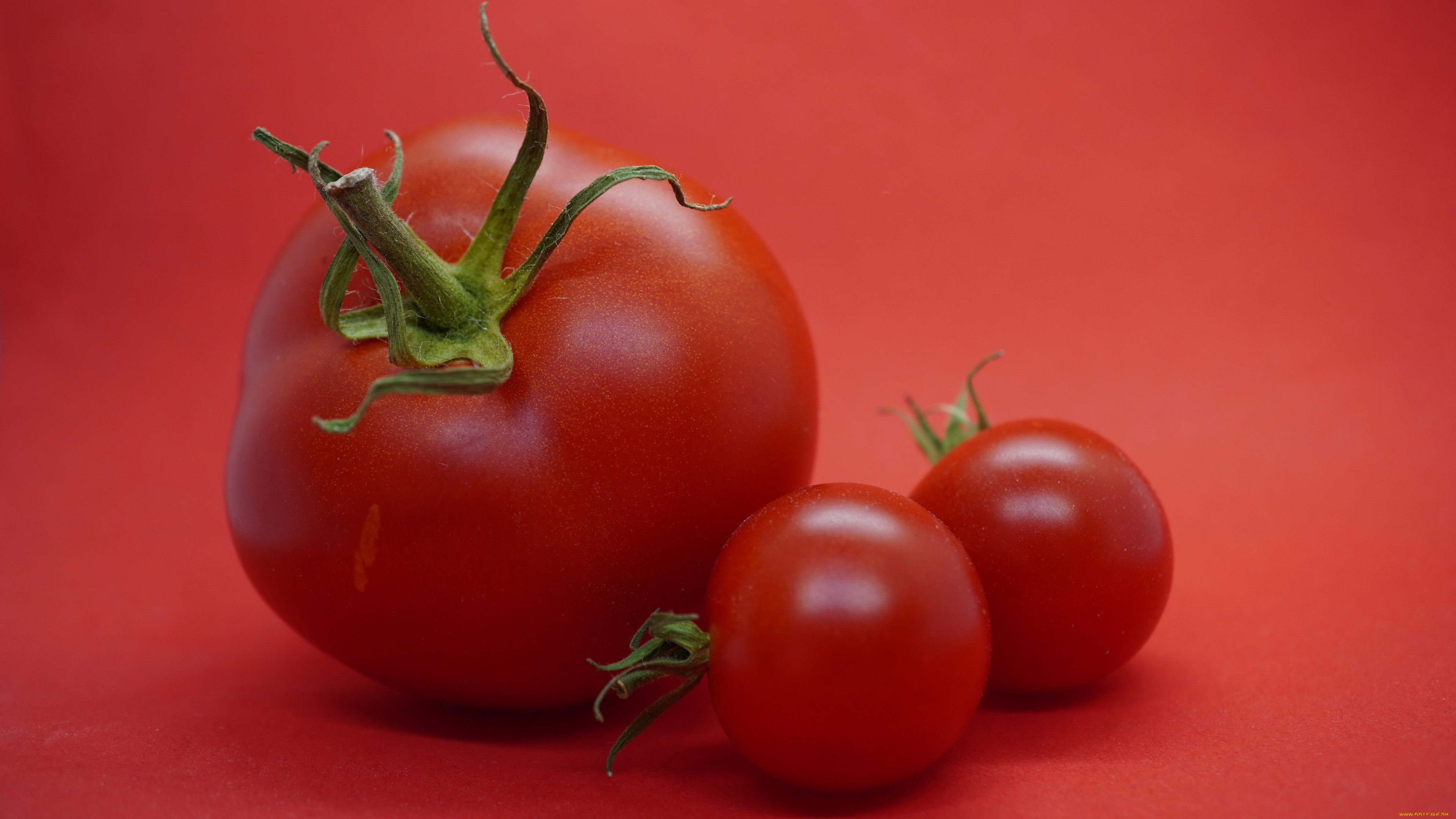 , , , , , , , , , , , , , , , , , , , , , , , , , 
